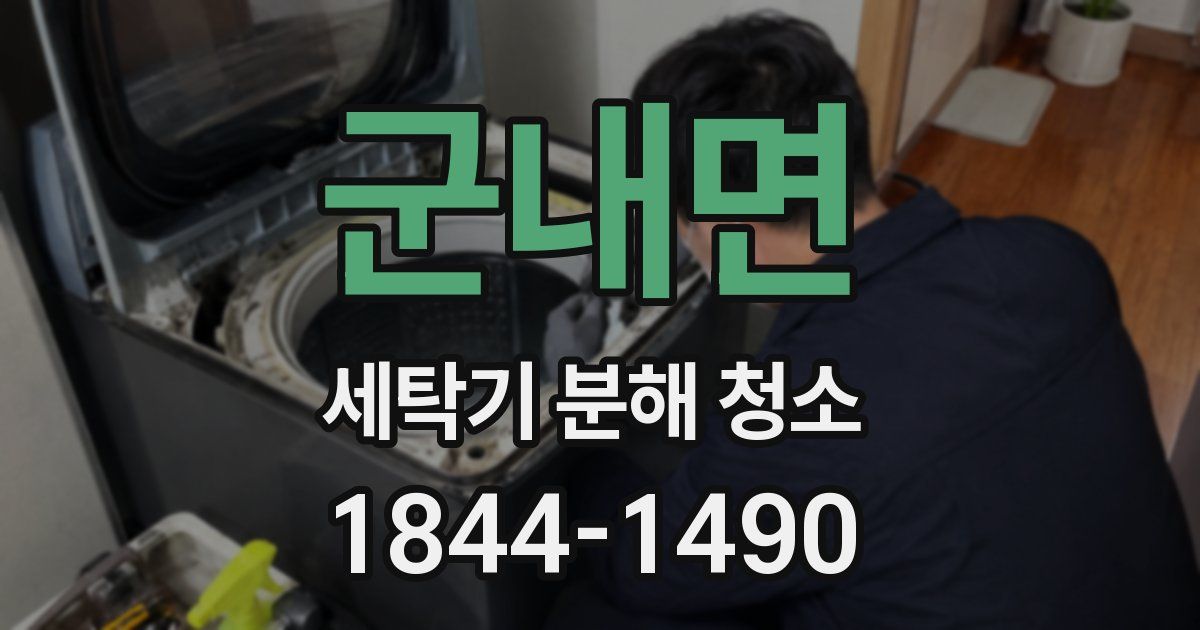 군내면 세탁기 분해 청소