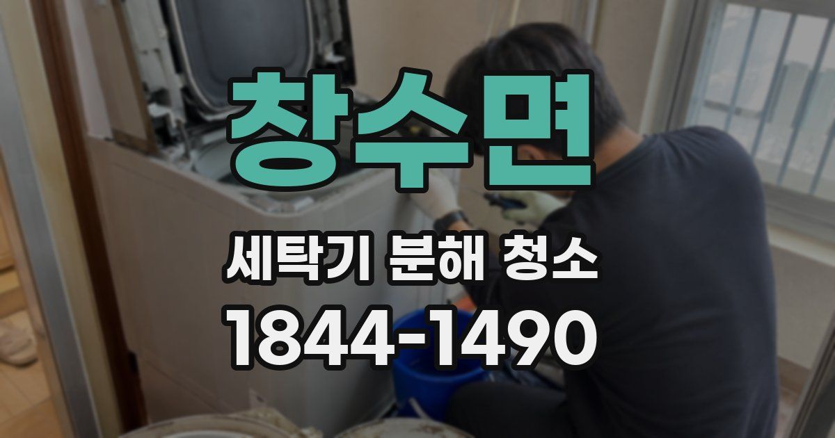 창수면 세탁기 분해 청소