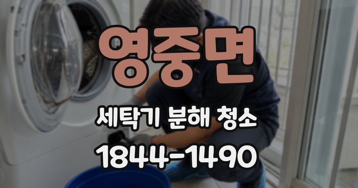 영중면 세탁기 분해 청소