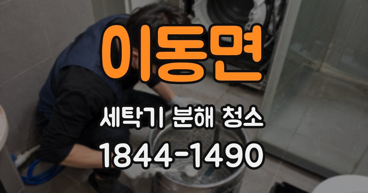 이동면 세탁기 분해 청소