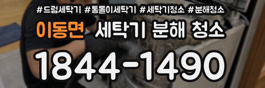 이동면 세탁기 분해 청소