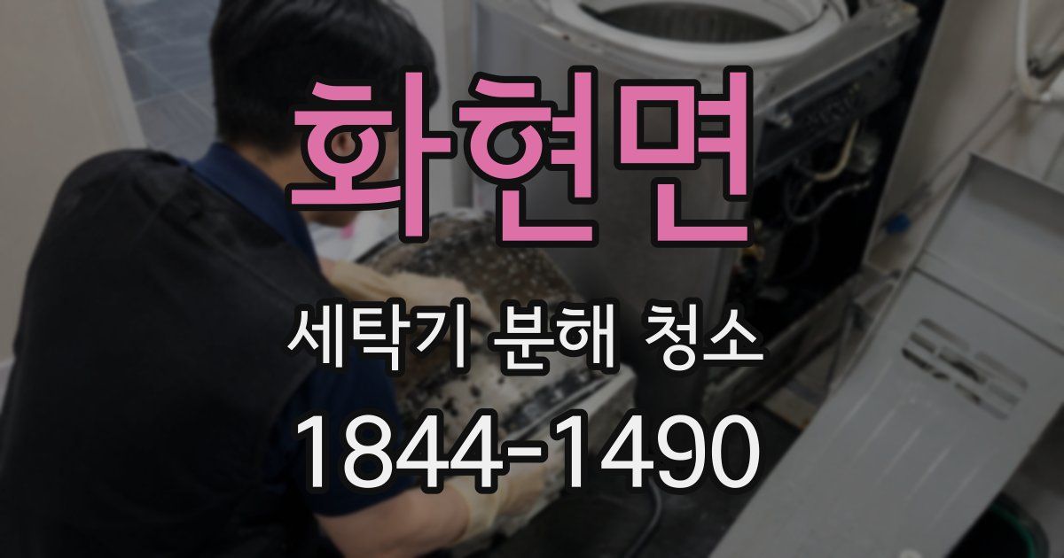 화현면 세탁기 분해 청소