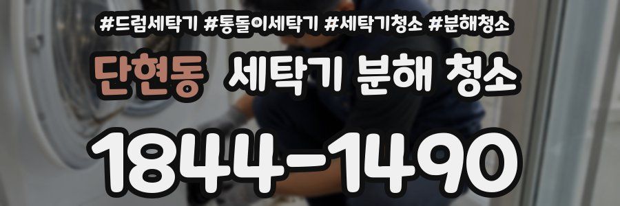 단현동 세탁기 분해 청소
