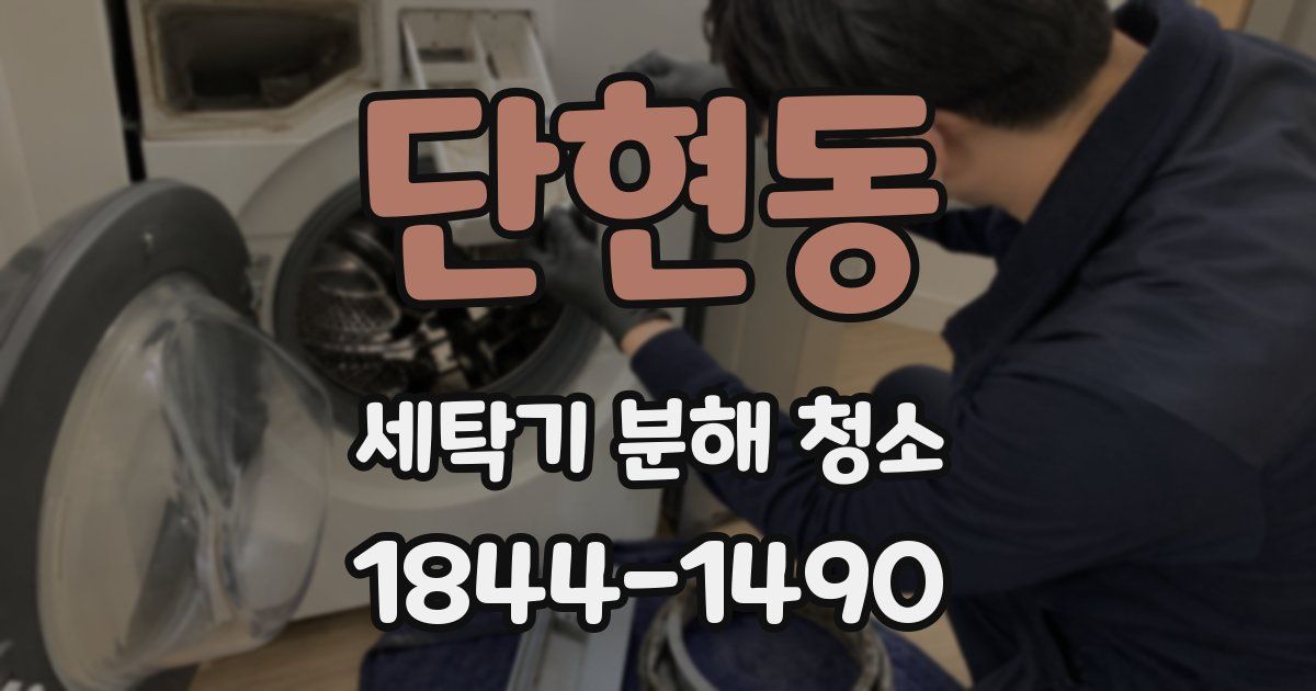 단현동 세탁기 분해 청소