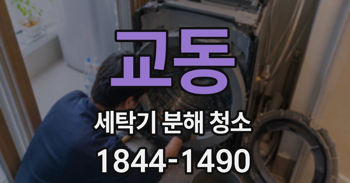 교동 세탁기 분해 청소