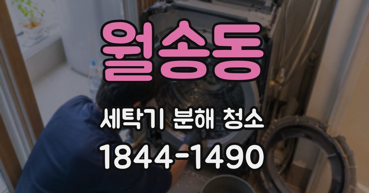 월송동 세탁기 분해 청소