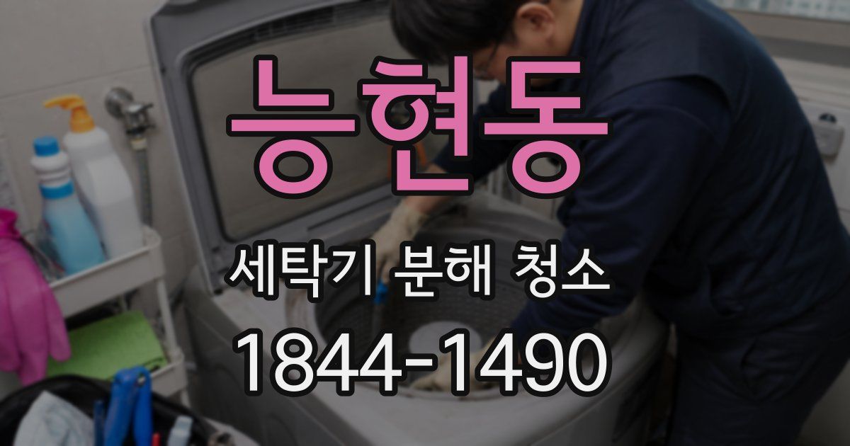 능현동 세탁기 분해 청소