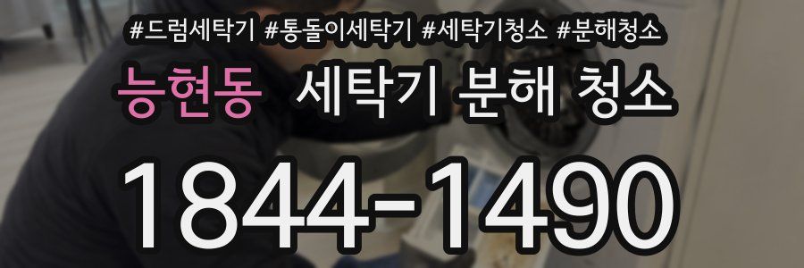 능현동 세탁기 분해 청소