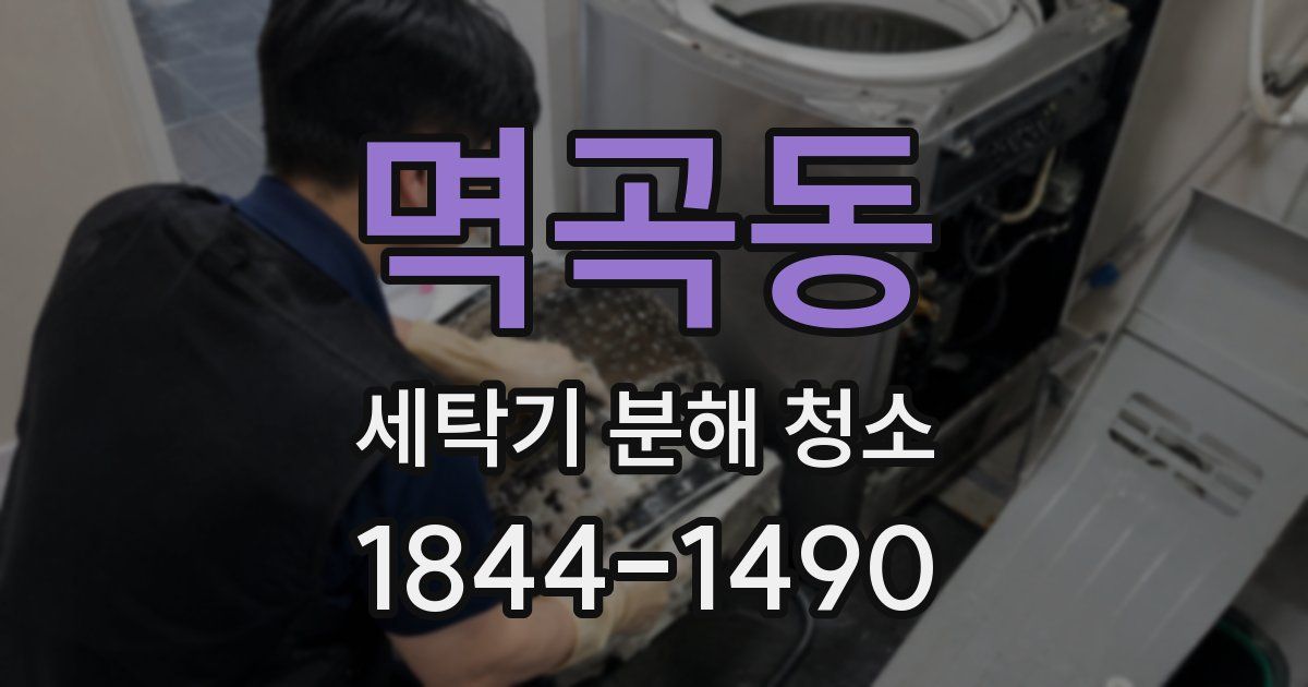 멱곡동 세탁기 분해 청소