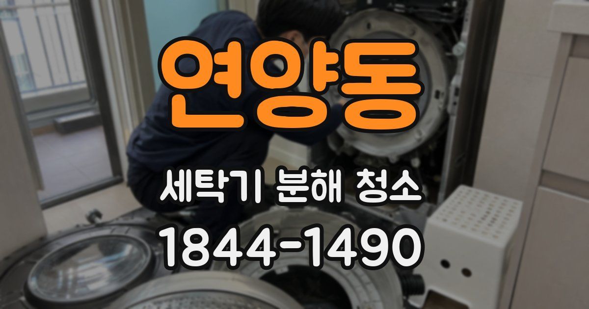 연양동 세탁기 분해 청소