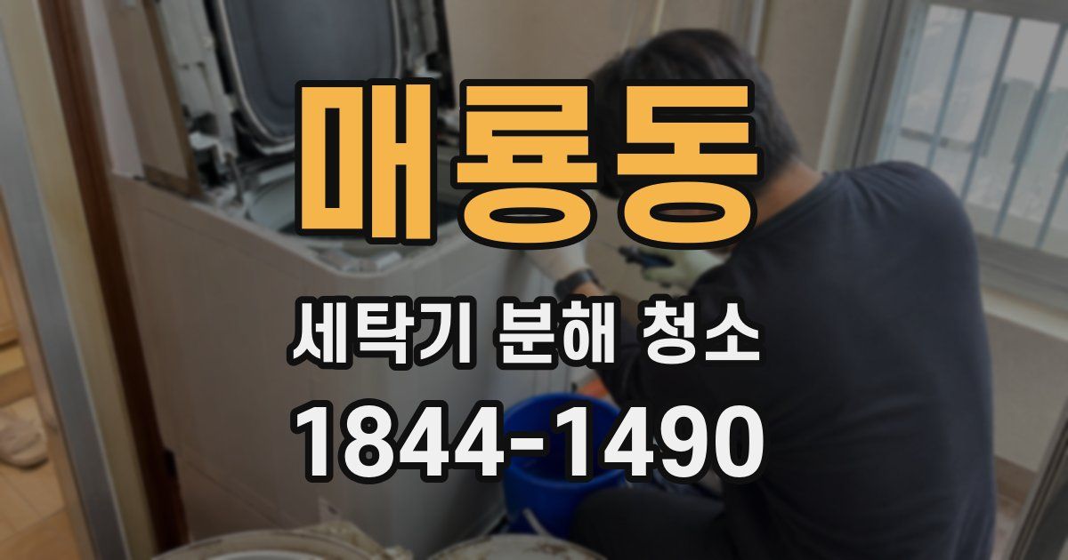 매룡동 세탁기 분해 청소