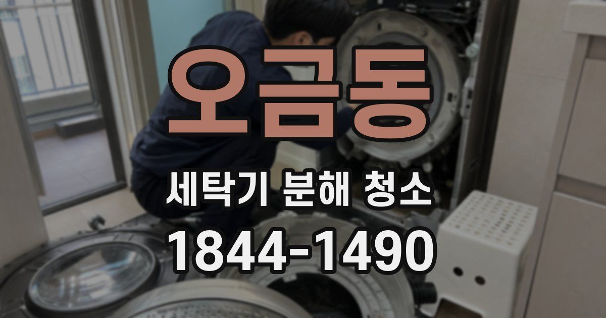 오금동 세탁기 분해 청소