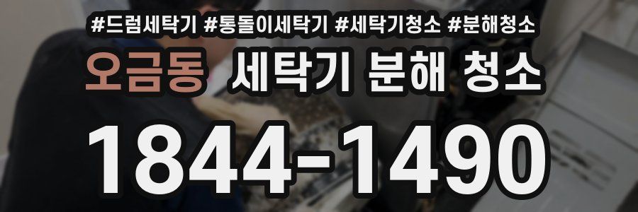 오금동 세탁기 분해 청소