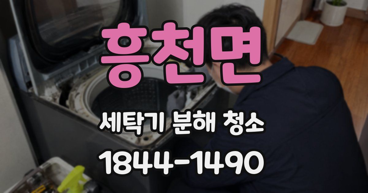 흥천면 세탁기 분해 청소