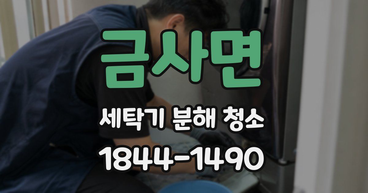 금사면 세탁기 분해 청소