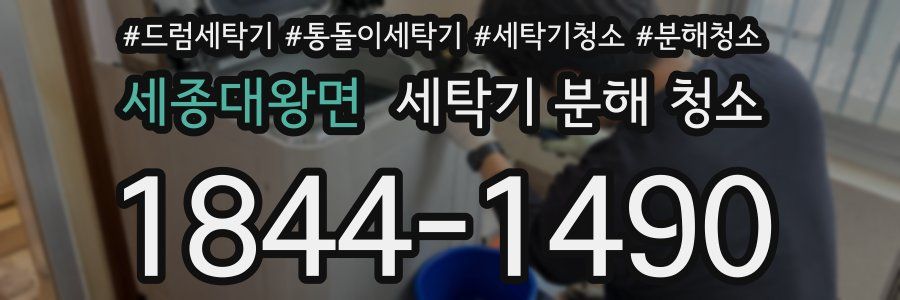 세종대왕면 세탁기 분해 청소