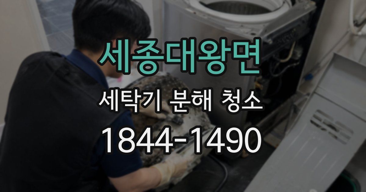 세종대왕면 세탁기 분해 청소