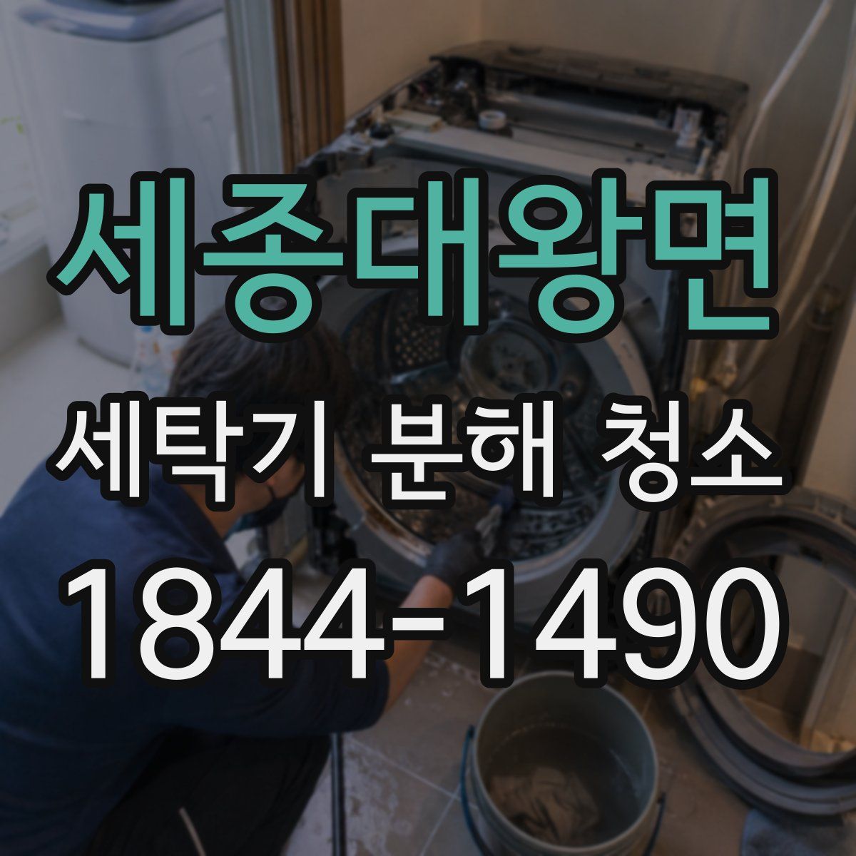 세종대왕면 세탁기 분해 청소