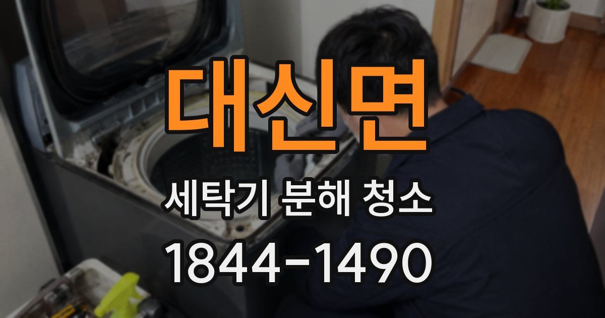 대신면 세탁기 분해 청소