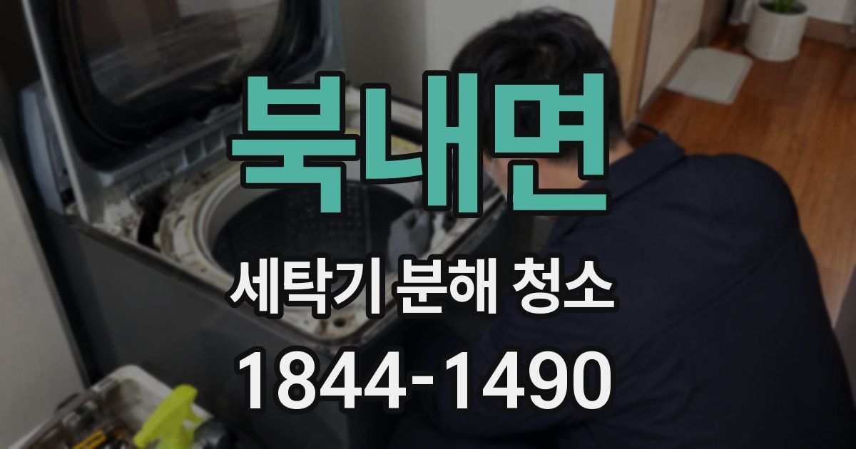 북내면 세탁기 분해 청소