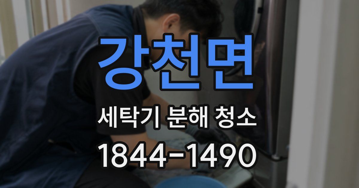 강천면 세탁기 분해 청소
