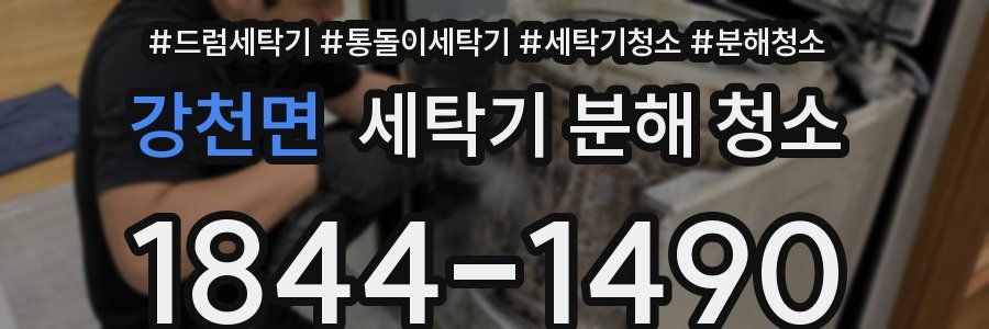 강천면 세탁기 분해 청소