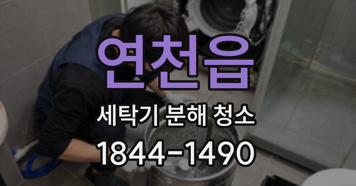 연천읍 세탁기 분해 청소
