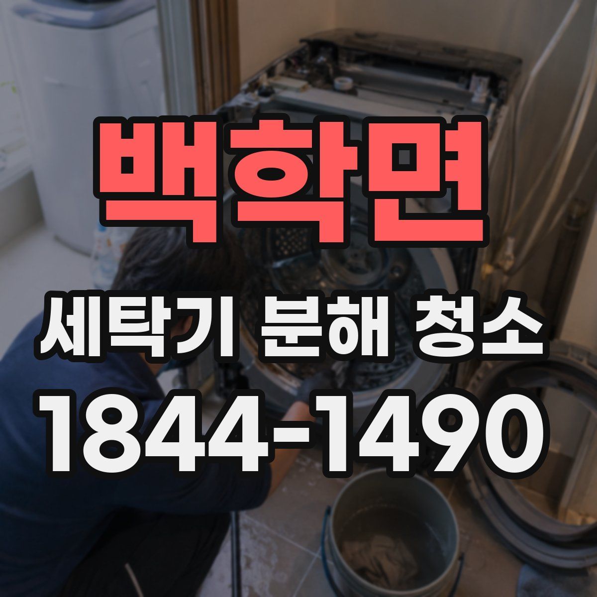 백학면 세탁기 분해 청소