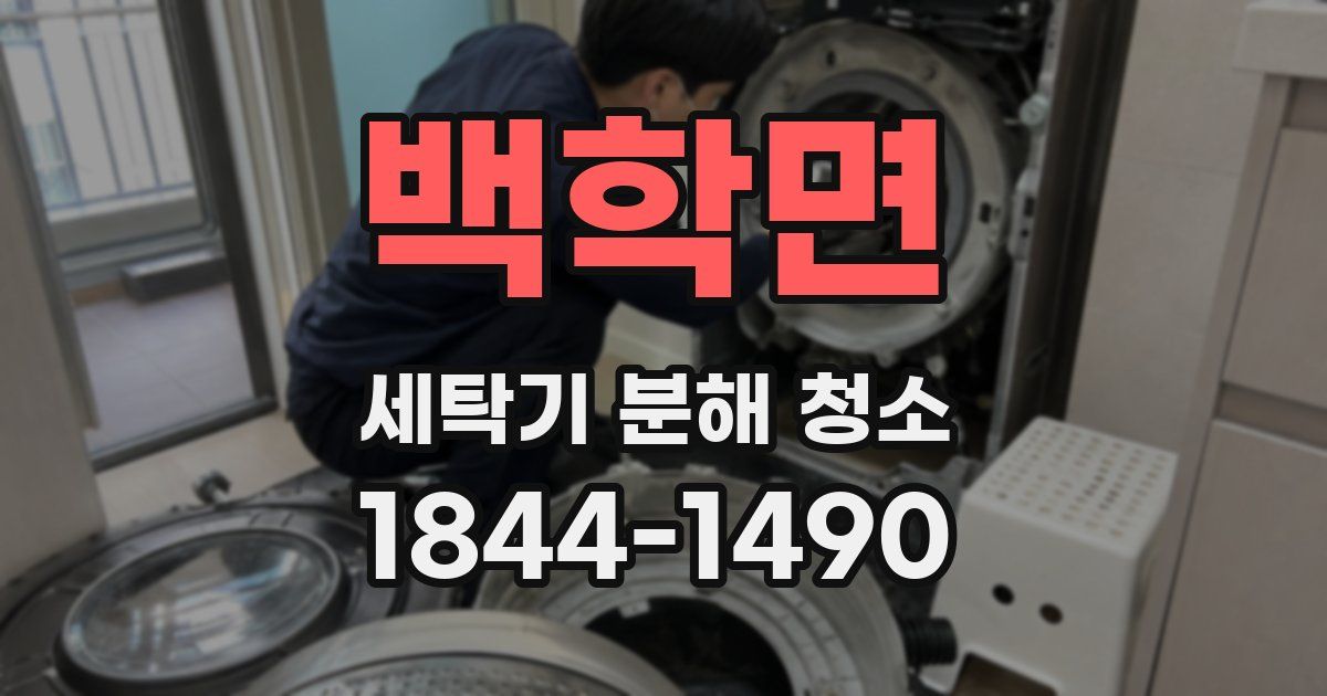 백학면 세탁기 분해 청소