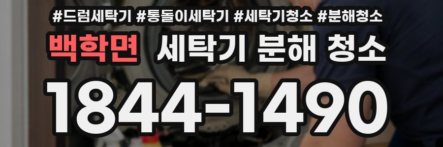 백학면 세탁기 분해 청소