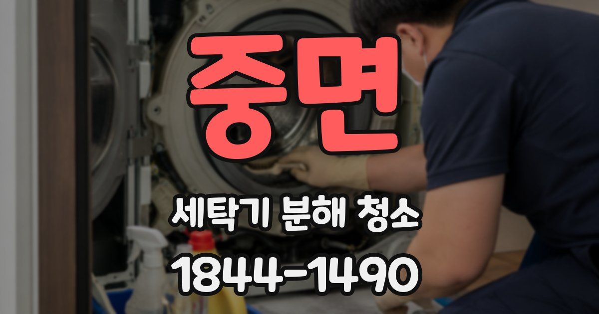 중면 세탁기 분해 청소
