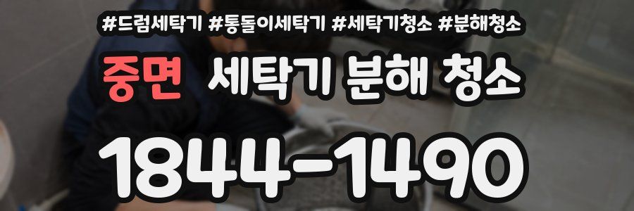 중면 세탁기 분해 청소