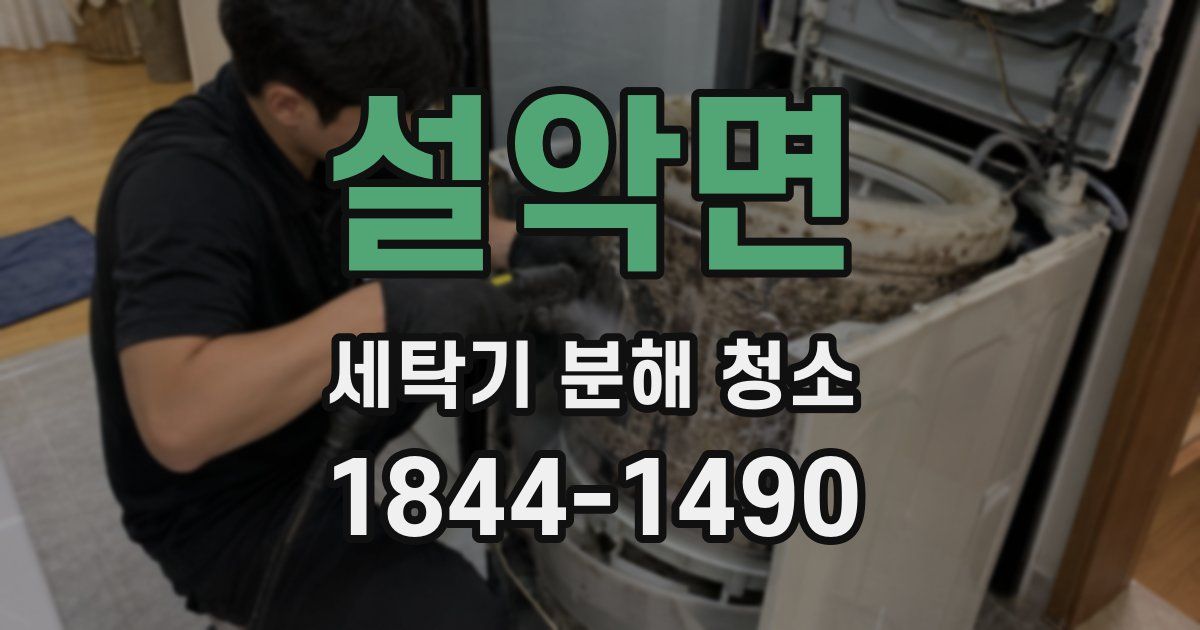 설악면 세탁기 분해 청소