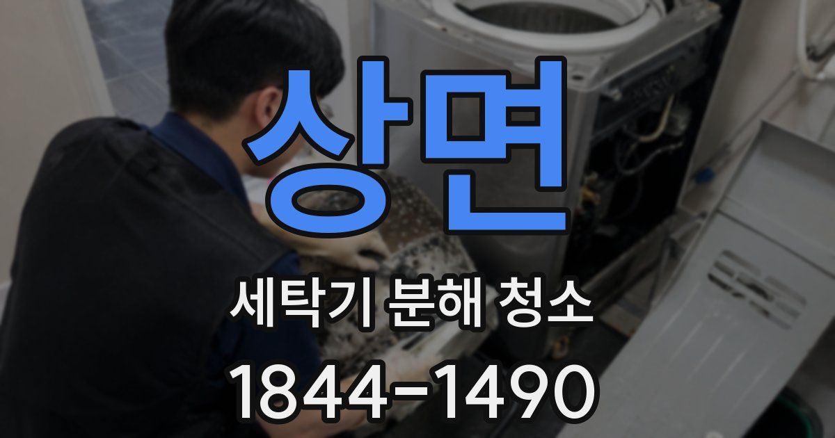 상면 세탁기 분해 청소