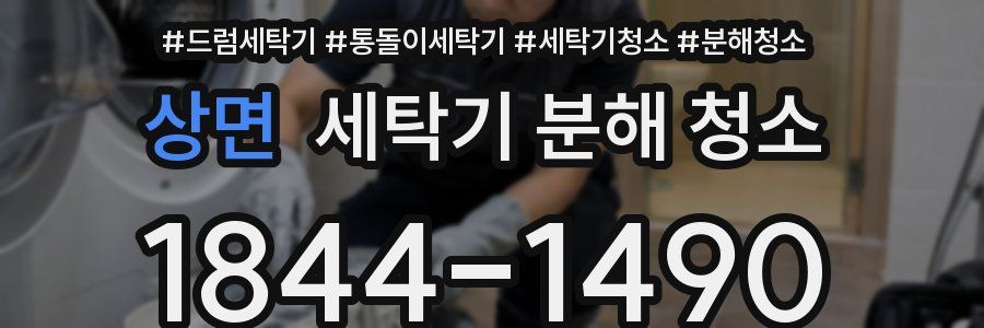 상면 세탁기 분해 청소