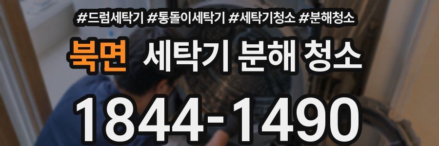 북면 세탁기 분해 청소