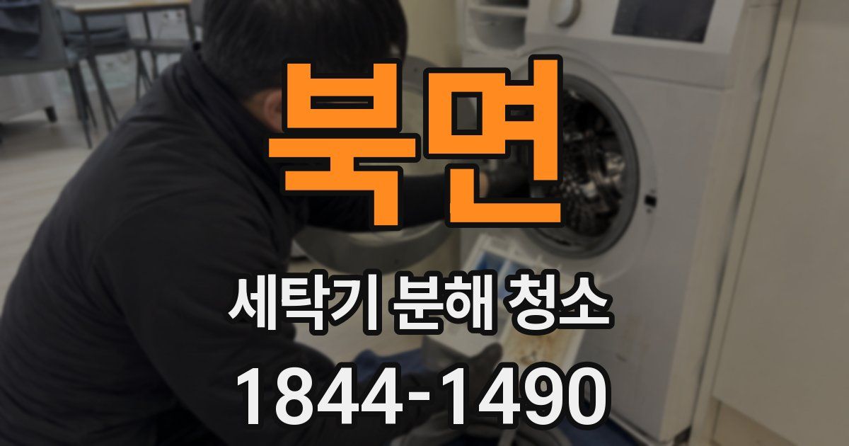 북면 세탁기 분해 청소
