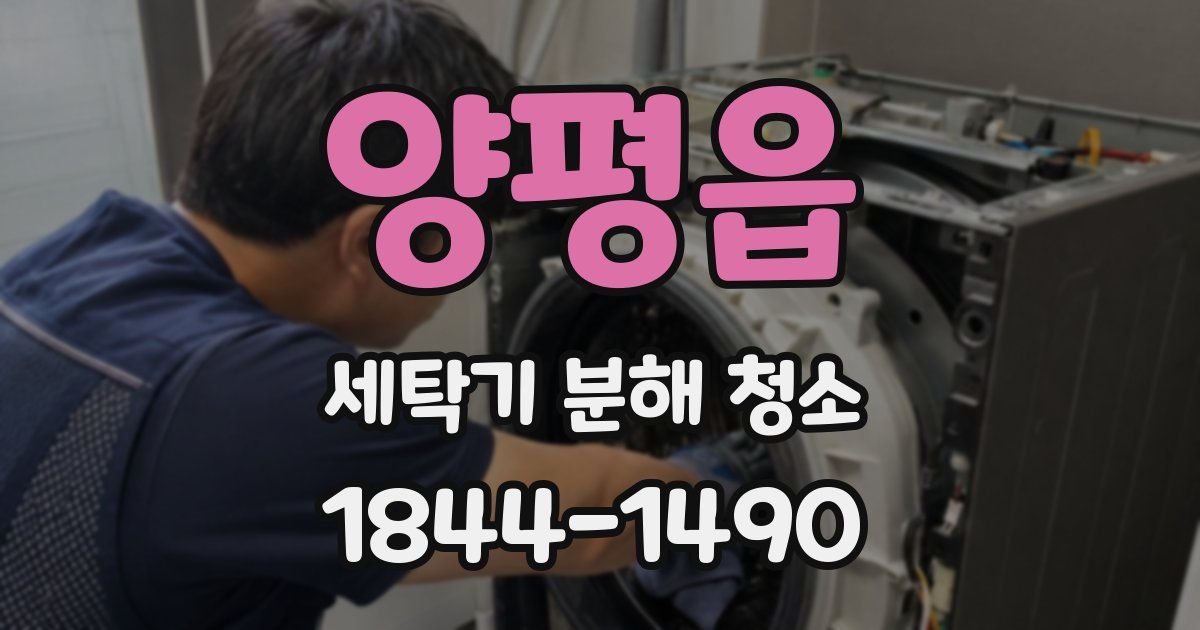 양평읍 세탁기 분해 청소