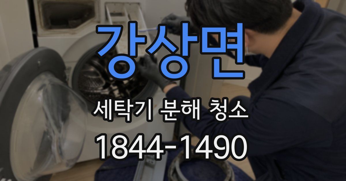 강상면 세탁기 분해 청소