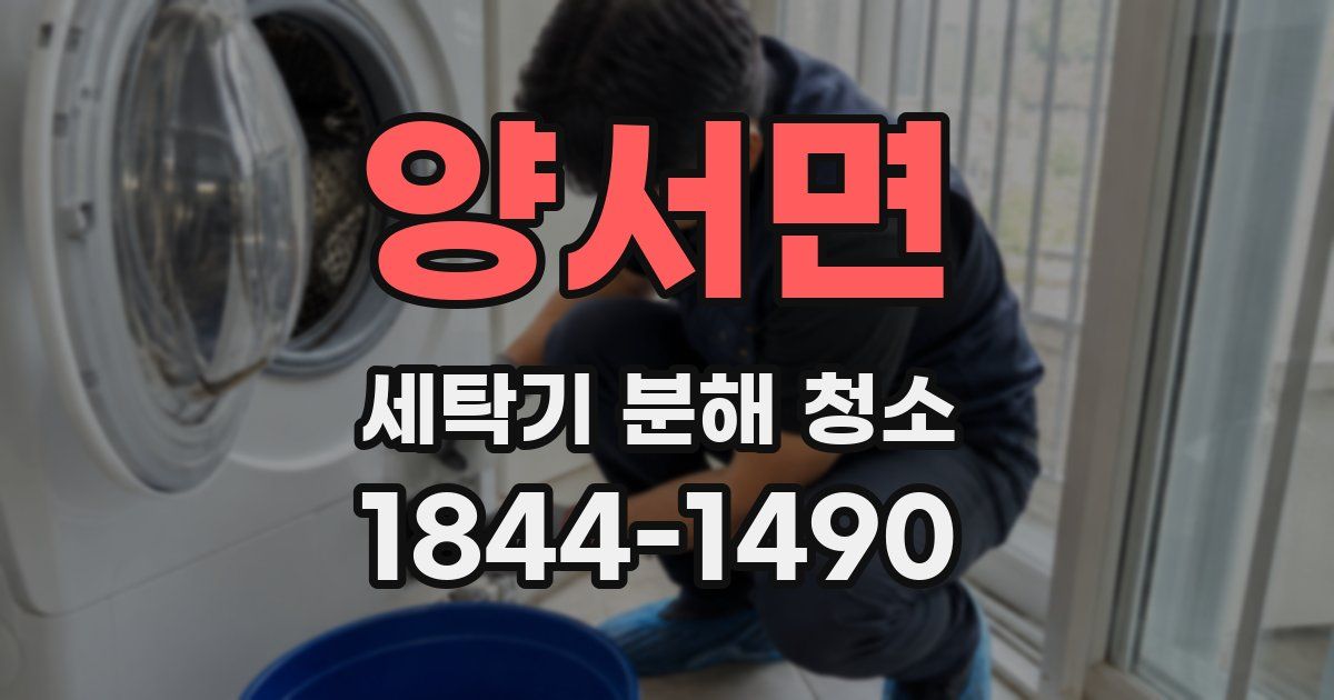 양서면 세탁기 분해 청소