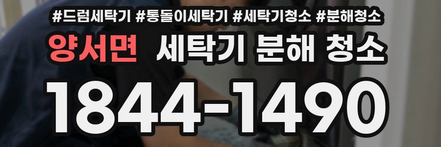 양서면 세탁기 분해 청소