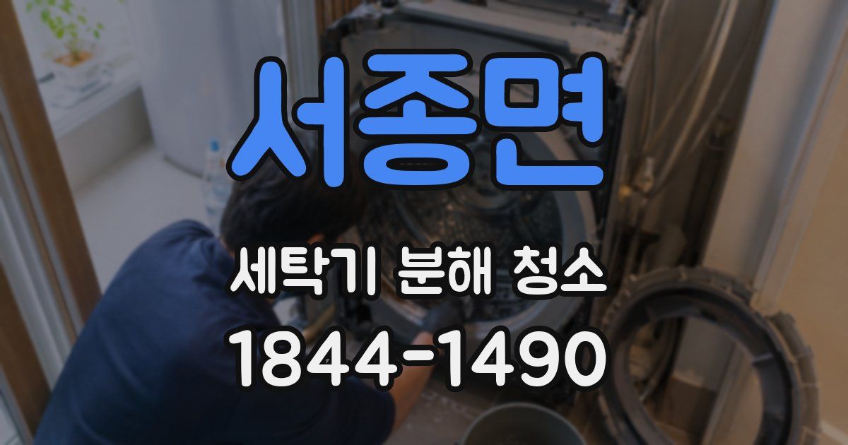 서종면 세탁기 분해 청소