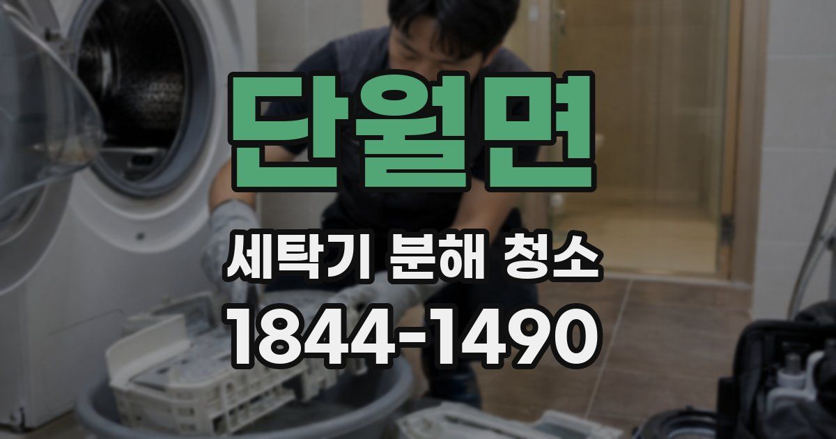 단월면 세탁기 분해 청소