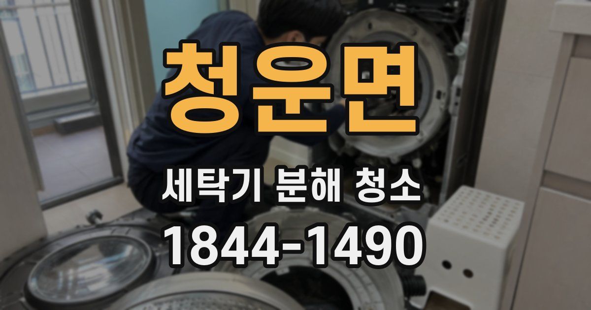 청운면 세탁기 분해 청소