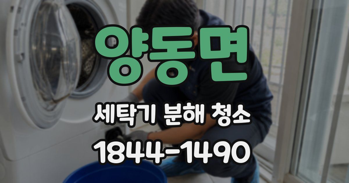 양동면 세탁기 분해 청소