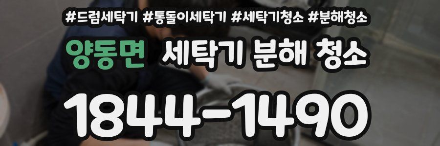 양동면 세탁기 분해 청소