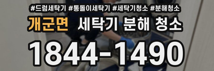 개군면 세탁기 분해 청소