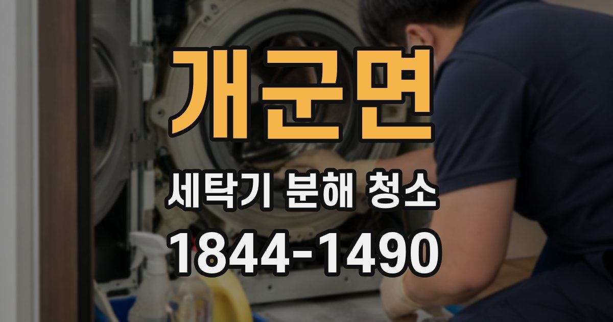 개군면 세탁기 분해 청소