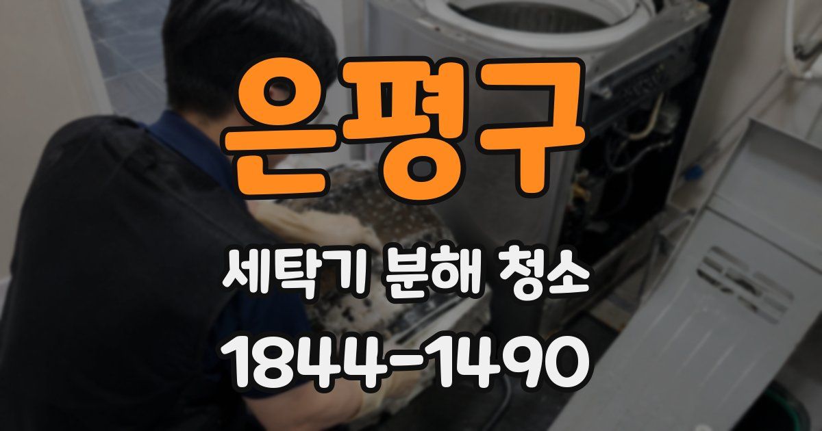 은평구 세탁기 분해 청소
