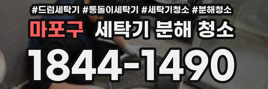 마포구 세탁기 분해 청소